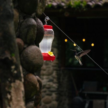 Pura Vista Glamping Ξενοδοχείο El Castillo Εξωτερικό φωτογραφία