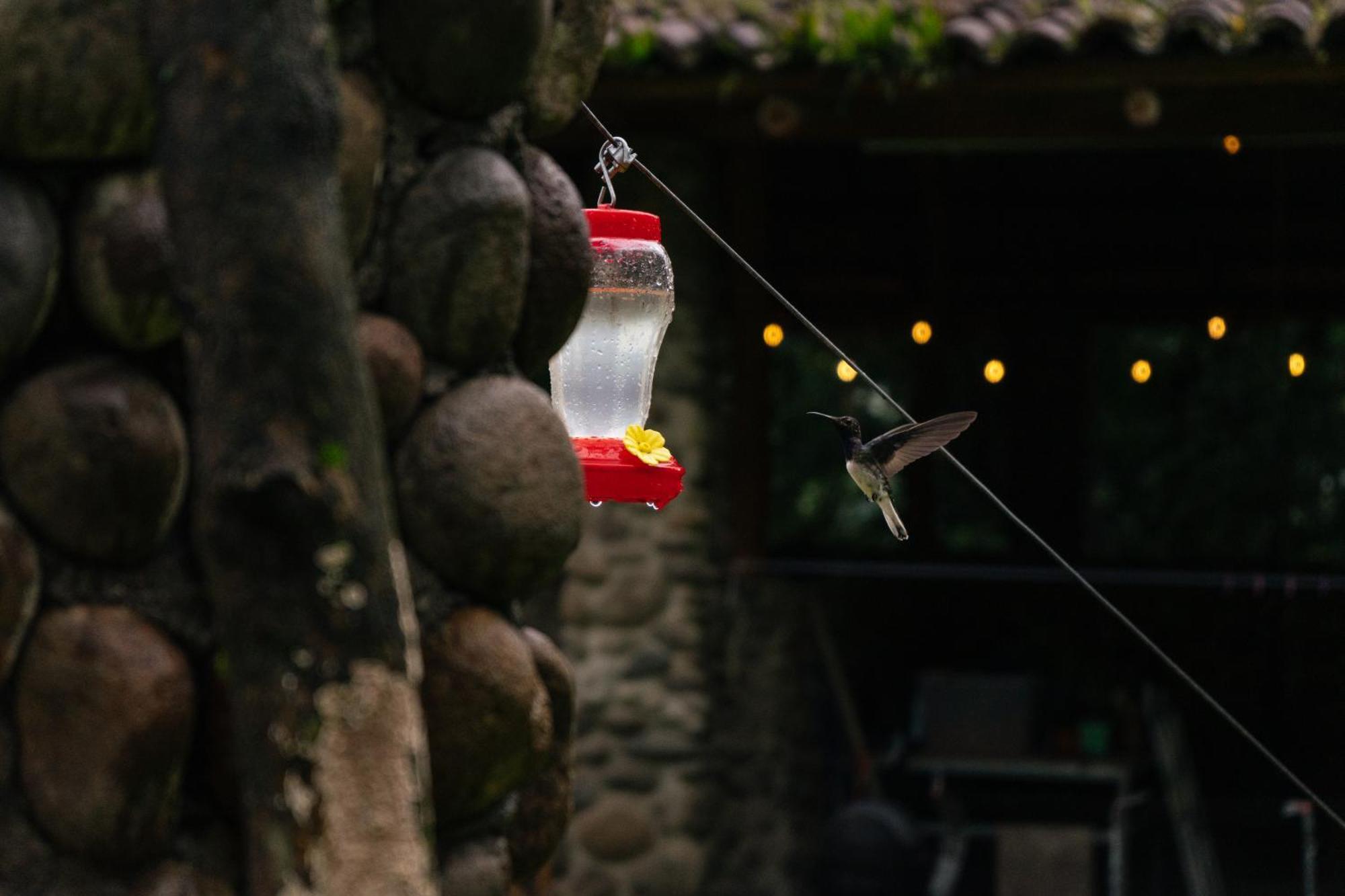 Pura Vista Glamping Ξενοδοχείο El Castillo Εξωτερικό φωτογραφία
